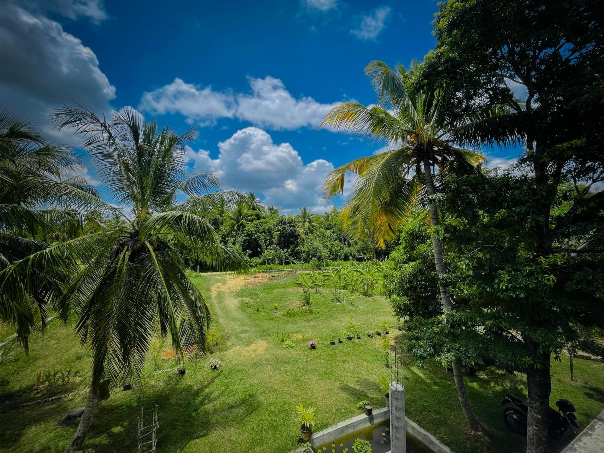 The Lotus Villa シギリヤ エクステリア 写真