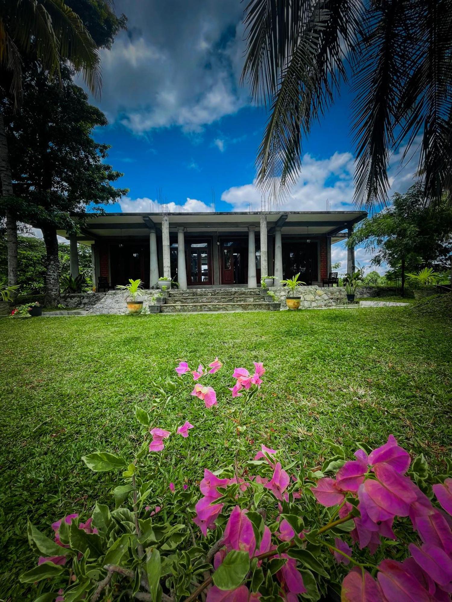 The Lotus Villa シギリヤ エクステリア 写真