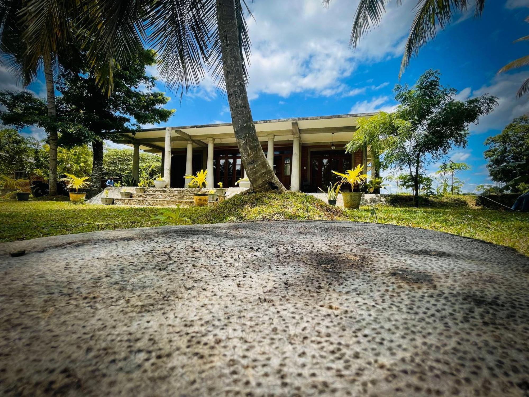 The Lotus Villa シギリヤ エクステリア 写真